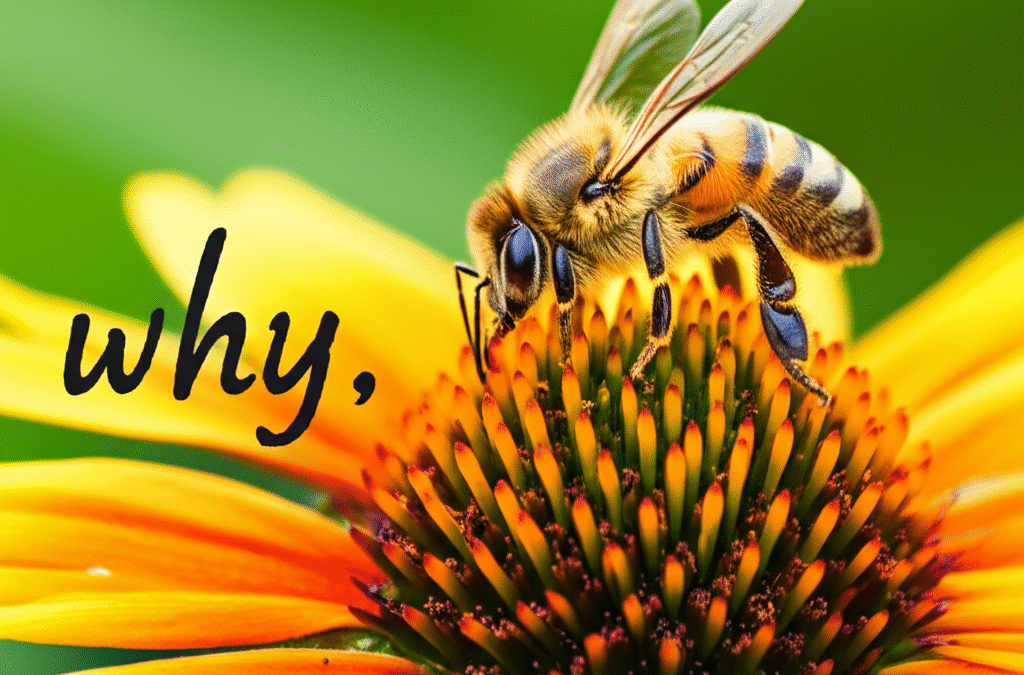 Why Bees Are Crucial: An Essential Guide