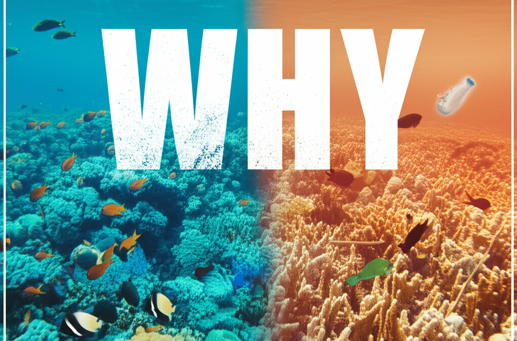 Why Coral Reefs Are Dying: Devastating Causes